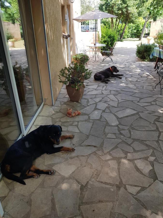 נים Cap Au Sud Sweet Home מראה חיצוני תמונה