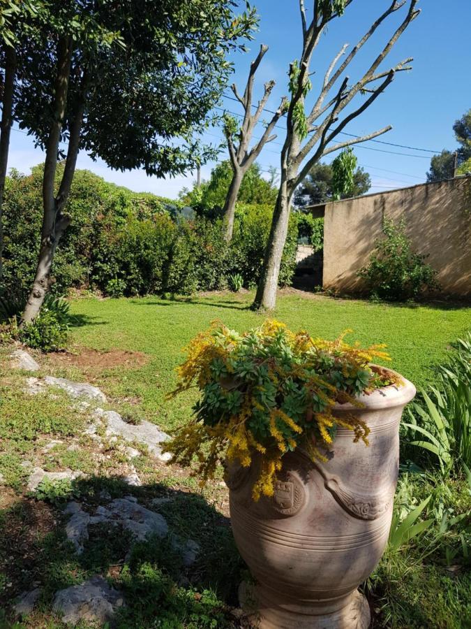 נים Cap Au Sud Sweet Home מראה חיצוני תמונה