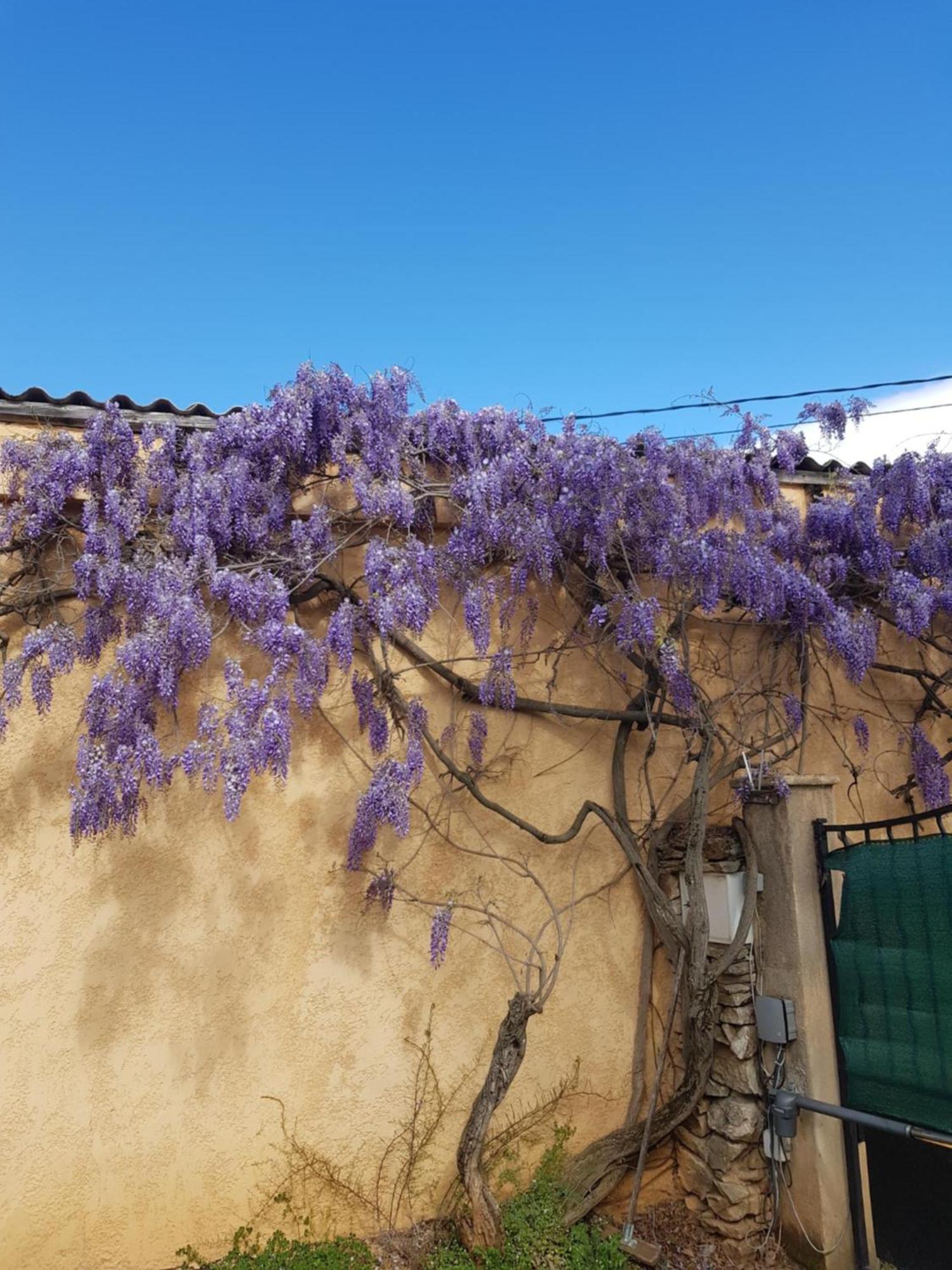 נים Cap Au Sud Sweet Home מראה חיצוני תמונה