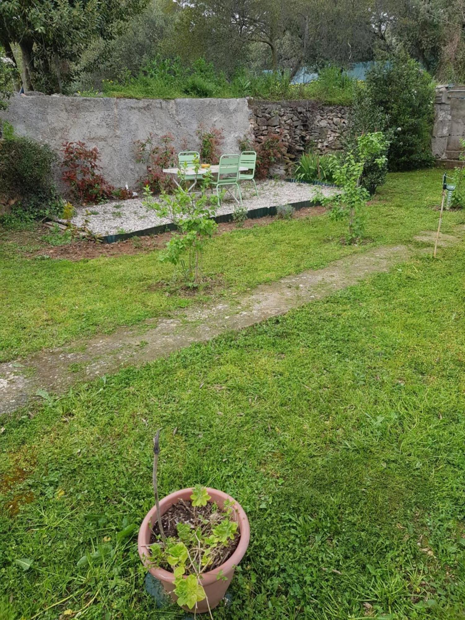 נים Cap Au Sud Sweet Home מראה חיצוני תמונה