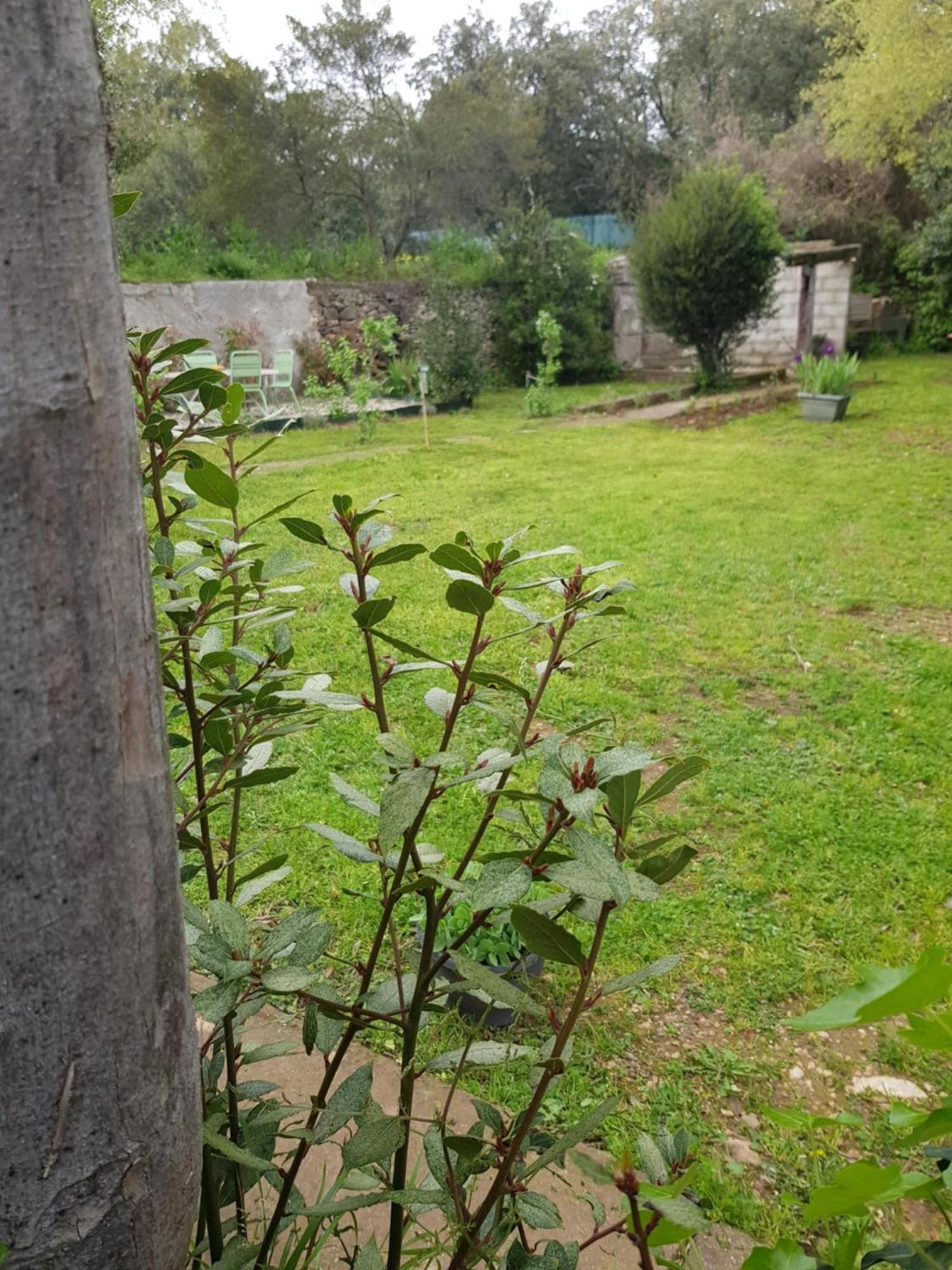 נים Cap Au Sud Sweet Home מראה חיצוני תמונה