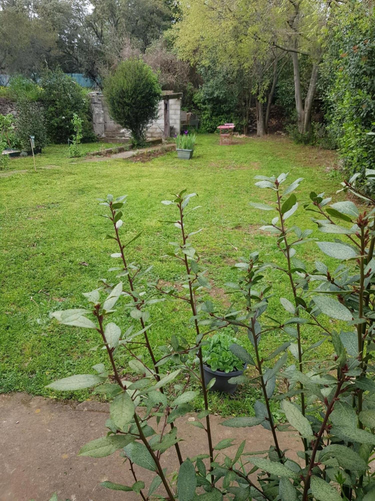 נים Cap Au Sud Sweet Home מראה חיצוני תמונה