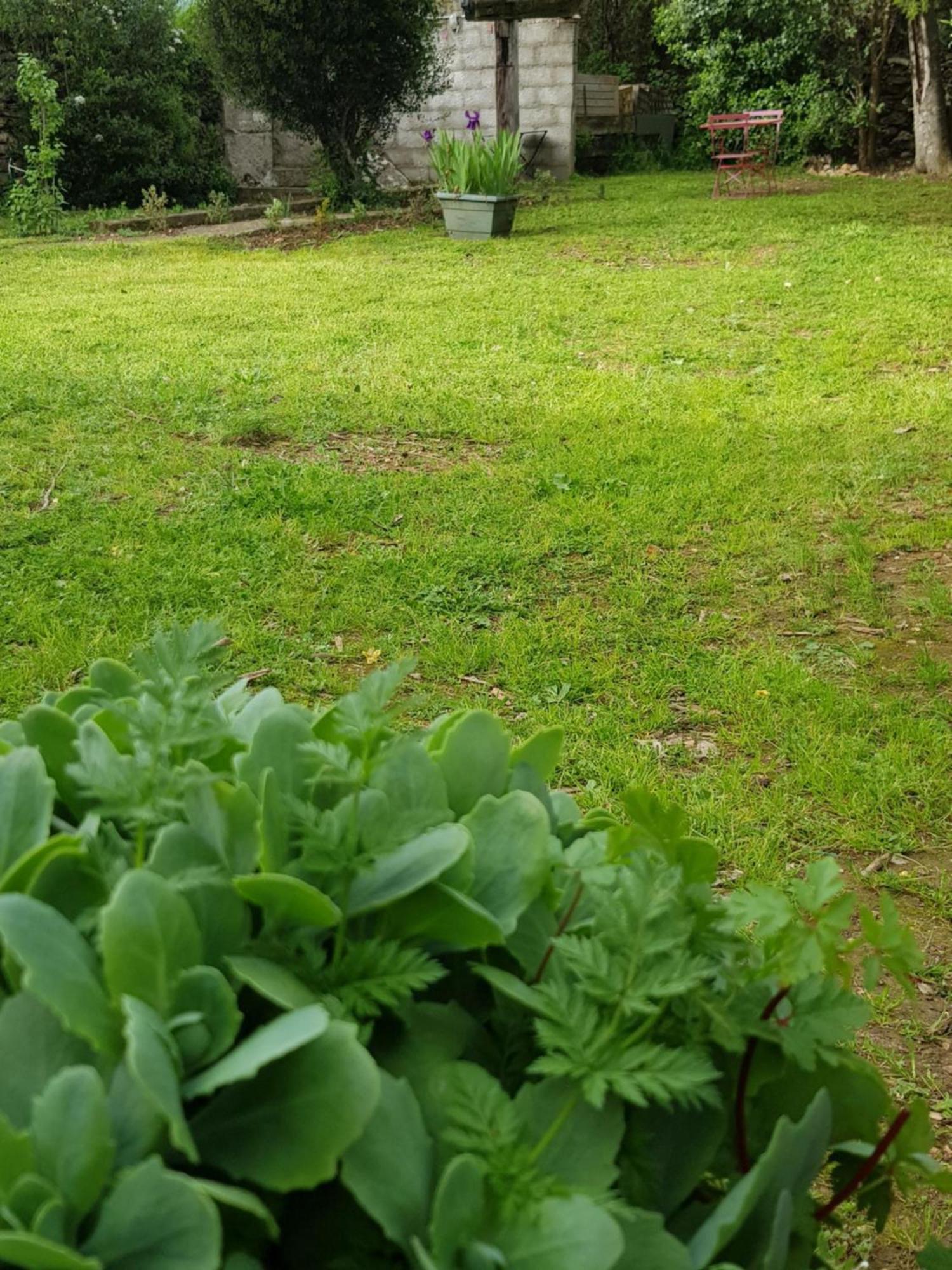 נים Cap Au Sud Sweet Home מראה חיצוני תמונה