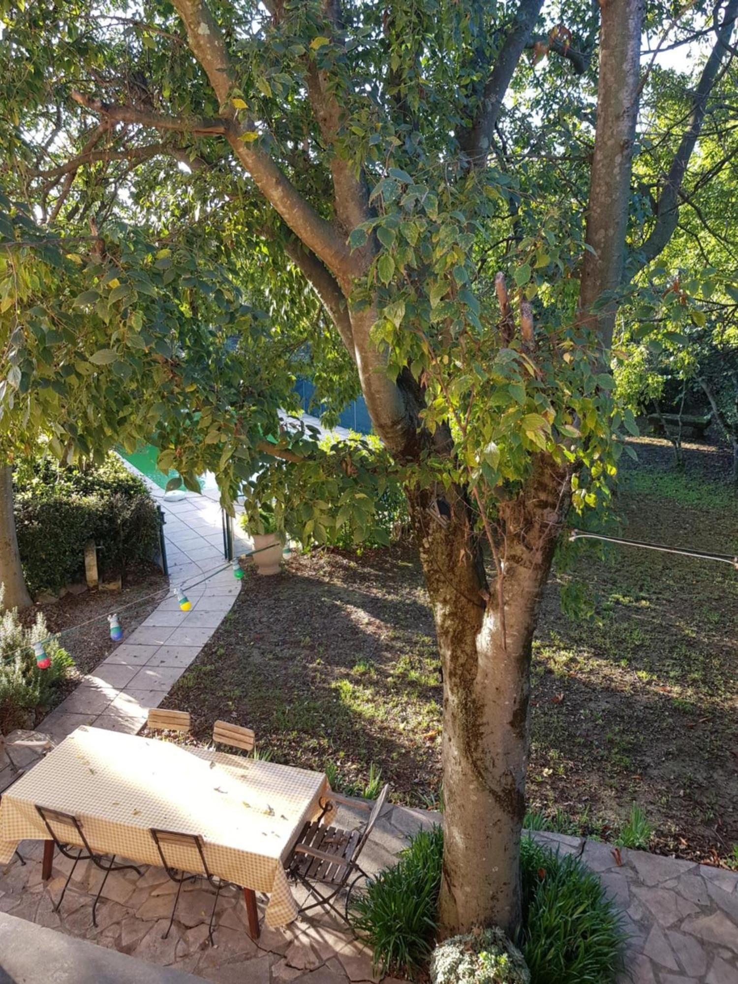 נים Cap Au Sud Sweet Home מראה חיצוני תמונה